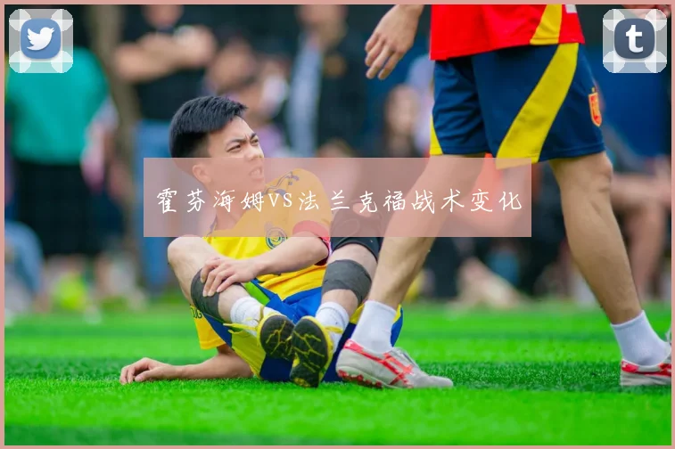 霍芬海姆vs法兰克福战术变化