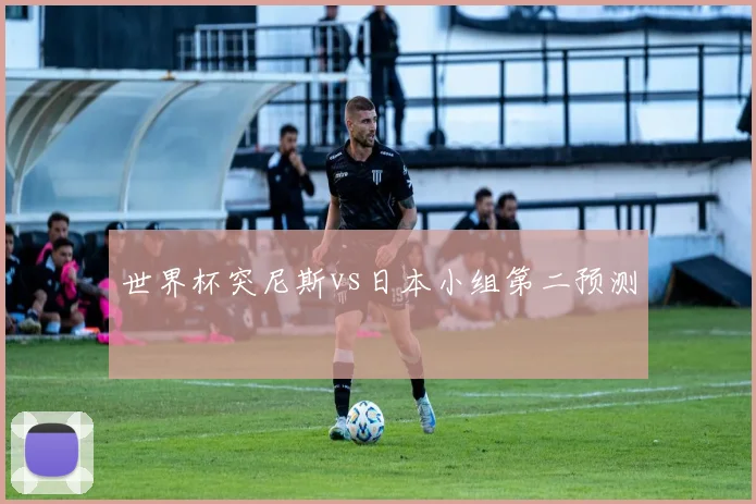 世界杯突尼斯vs日本小组第二预测