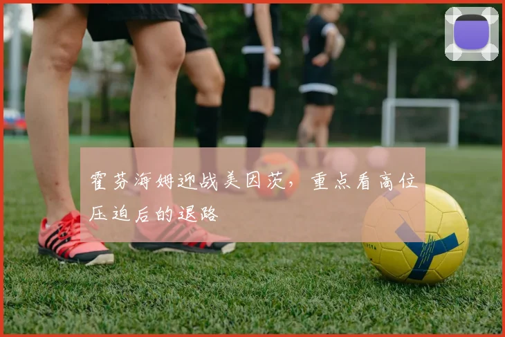 霍芬海姆迎战美因茨，重点看高位压迫后的退路