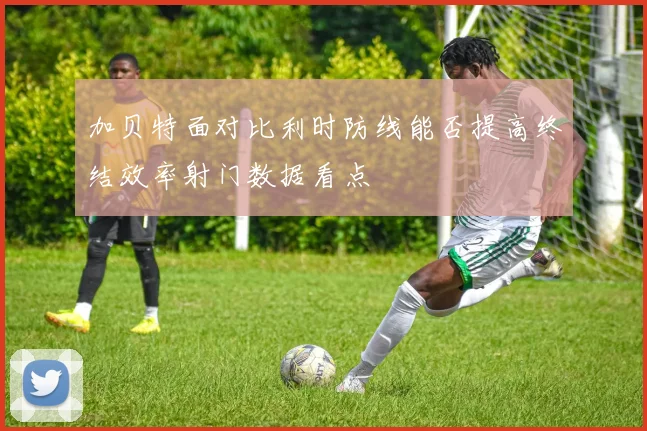 加贝特面对比利时防线能否提高终结效率射门数据看点